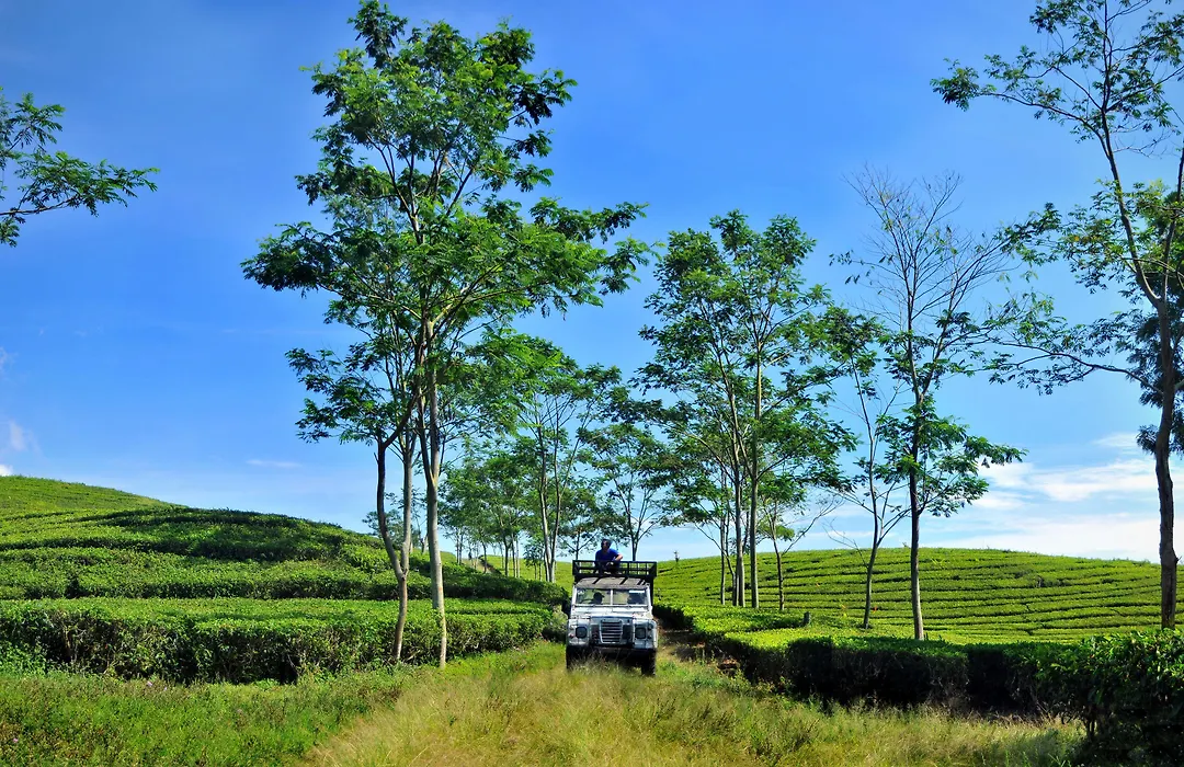 Sari Ater Hotel & Resort-1